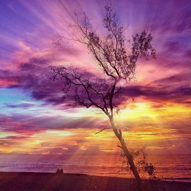 【画像】素敵な景色を堪能しましょう!