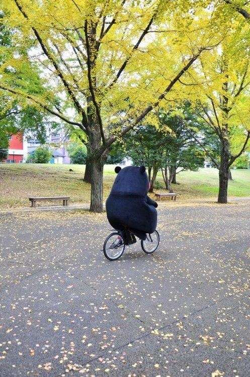 【画像あり】くまモンがハーバード大学で講演してるww