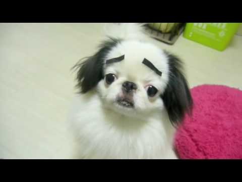 【悲報】この赤西仁がヤバイwww