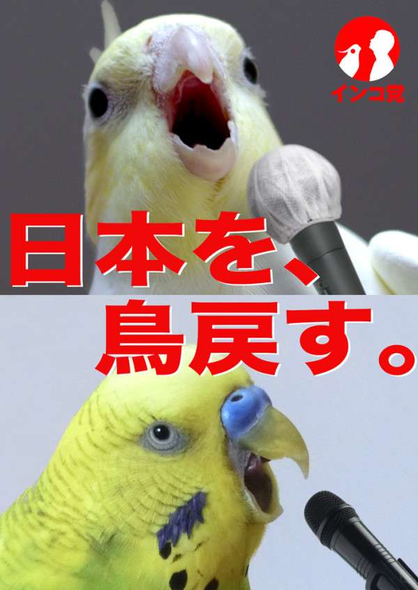 鳥好きさん集まれー♪