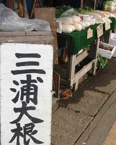 紅白歌合戦に出てほしかったアーティスト