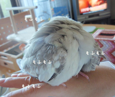 他人には理解してもらえないけど興奮してしまうもの