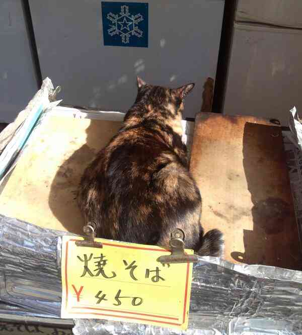 【ツイッター】そば屋の外にある展示商品の所で寝る不届きモノが現る　ネットの声「これは許した」