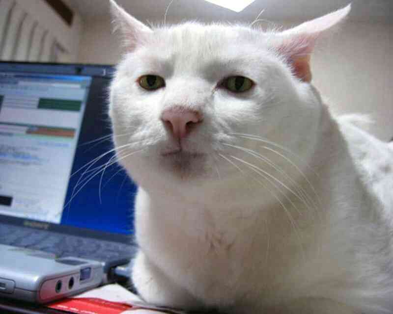 このananの表紙の説得力なさすぎwwwww