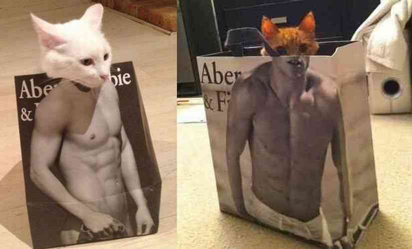 デブはお断りのアバクロ、売り上げ激減！ポリシー変更でXL以上も生産