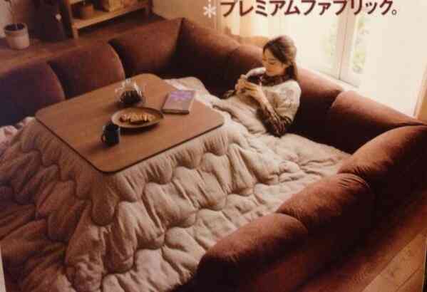 こたつ必要ですか？