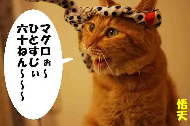 もしも男に生まれていたら、何をしたいですか？
