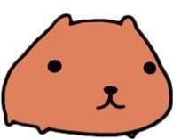 オタクと言っていい程好きなモノあります？