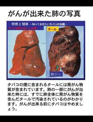 来年4月の消費税増税に合わせ、たばこ全銘柄10～20円値上げ