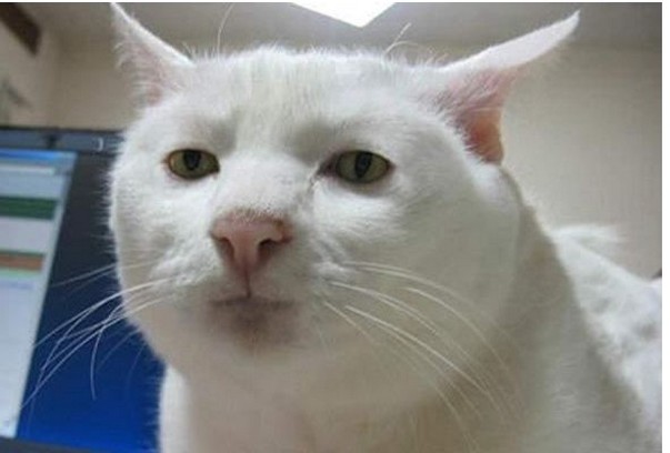 紗栄子がイメチェンでファンの歓喜の声が殺到