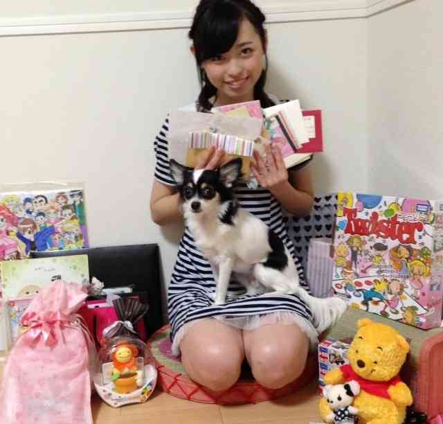 海外の大学で導入され始めてる「セラピー犬」が羨ましい