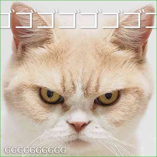 年末、正月が嫌いな人！