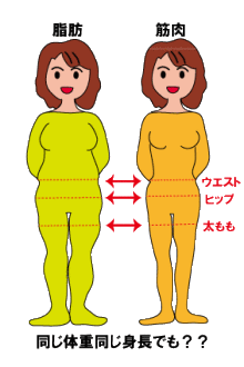 細くない人のファッション