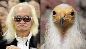 今年、ガルちゃんで特に好きだったトピックは!?