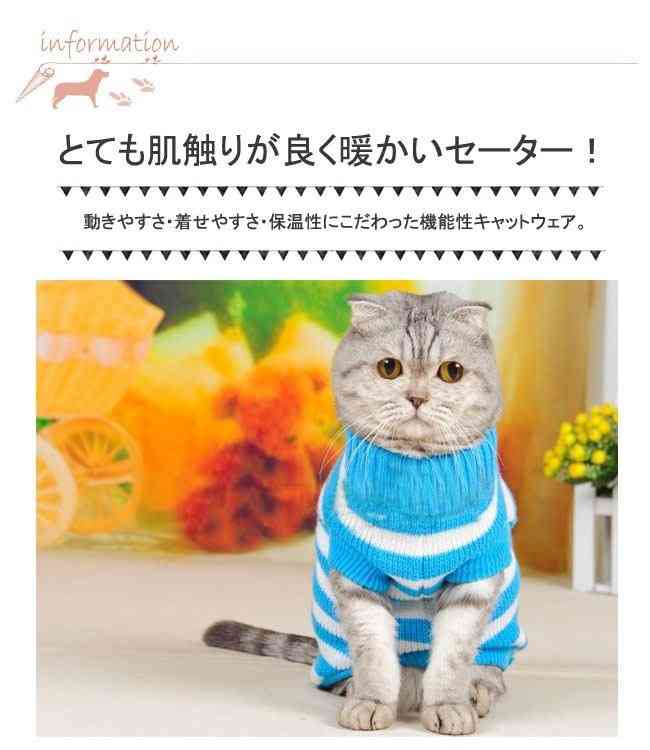 これはカワイイ! セーターを着たアニマルたち♪