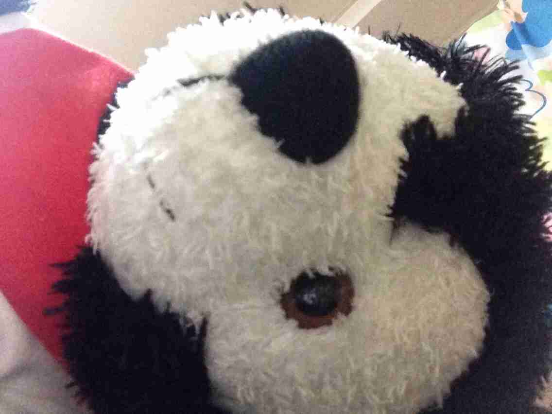 ぬいぐるみ好きな人ー！！