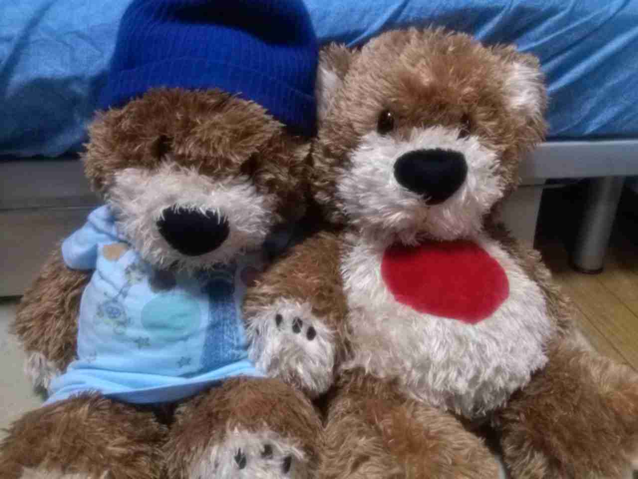 ぬいぐるみ好きな人ー！！