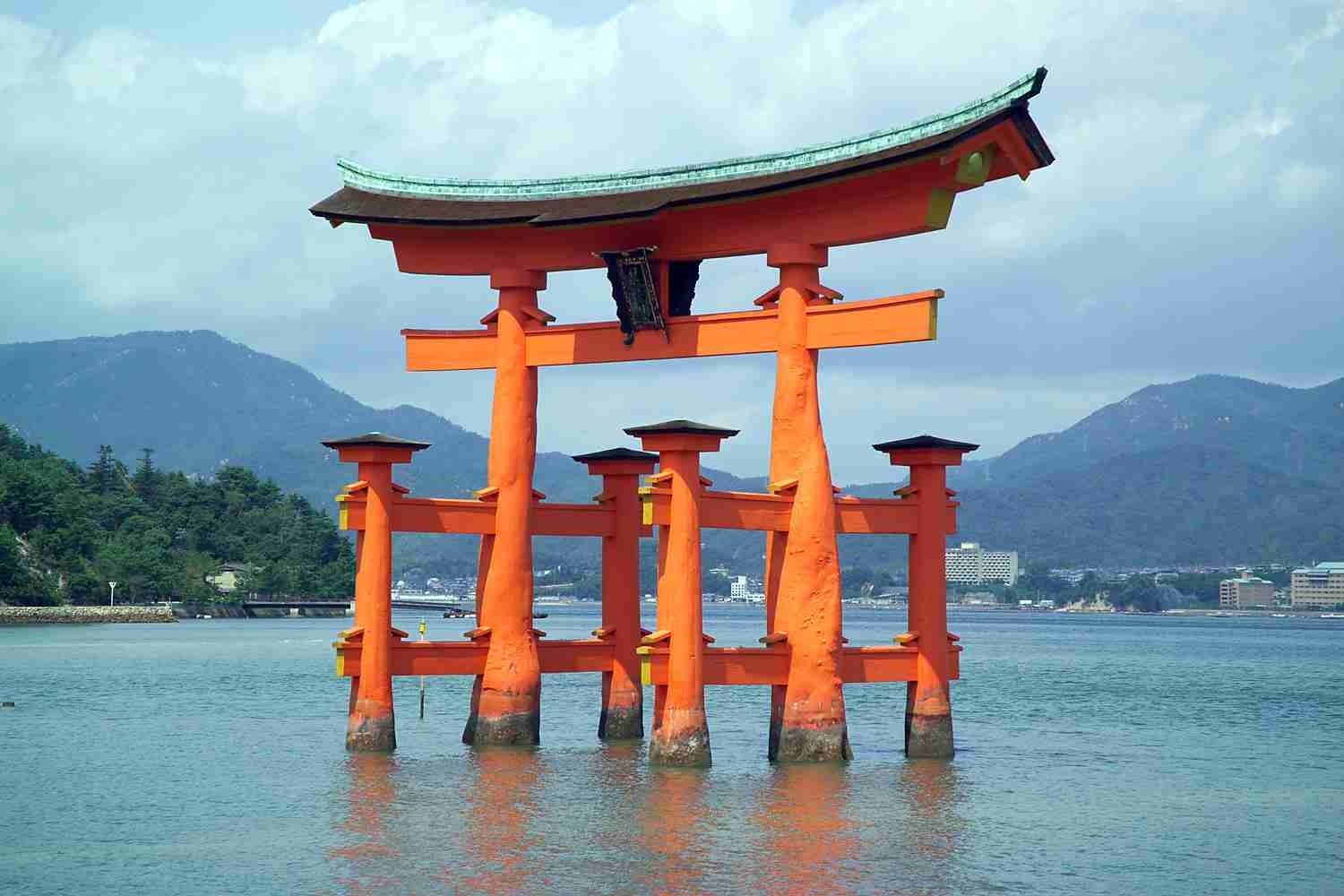 来年楽しみにしてることはありますか?