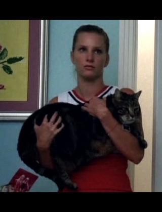 Gleeで好きな人！