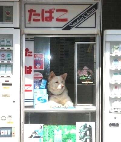 今でも時々見かける昭和っぽいもの