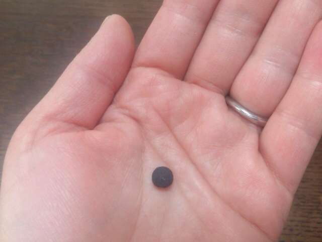 小学校の時に流行っていたバカなこと