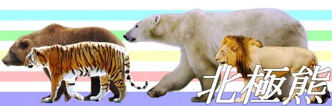 ほとんど食べられてる気がする…巨大なクマとじゃれ合う男性をご覧ください