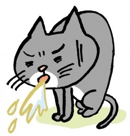 「女子より可愛い」と話題の美少年二人組がすごい