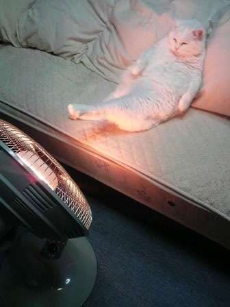 彼の両親に結婚の挨拶