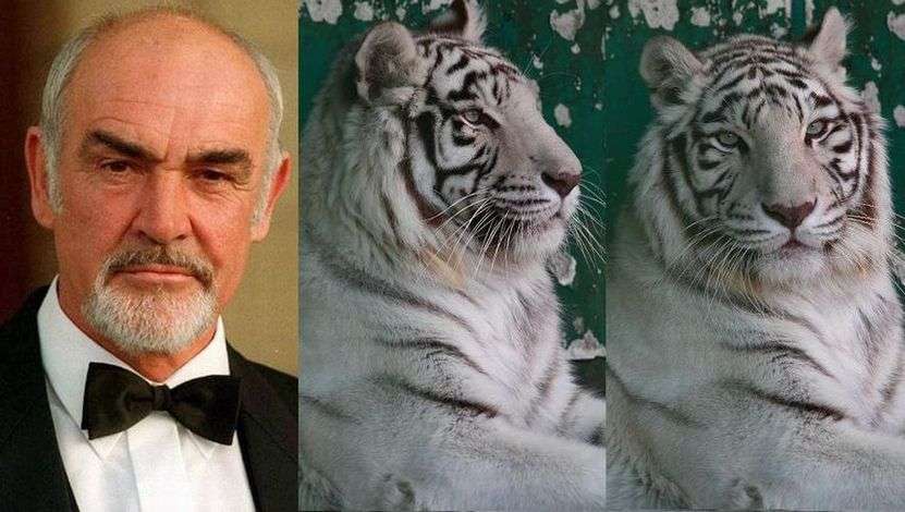 この動物たちがイケメンすぎるww