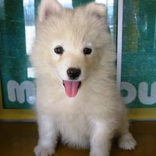 笑える誤変換ありますか？