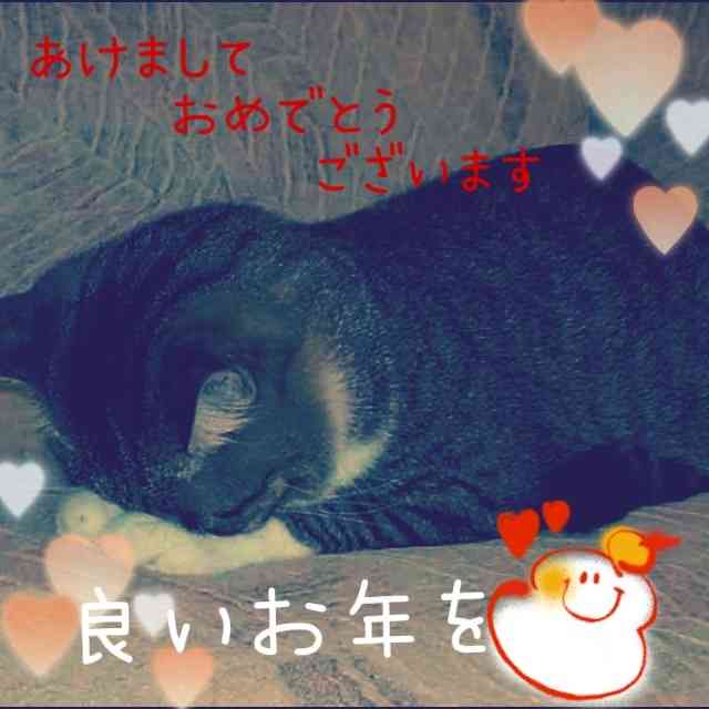 あけましておめでとう！今年もがんばりましょう！