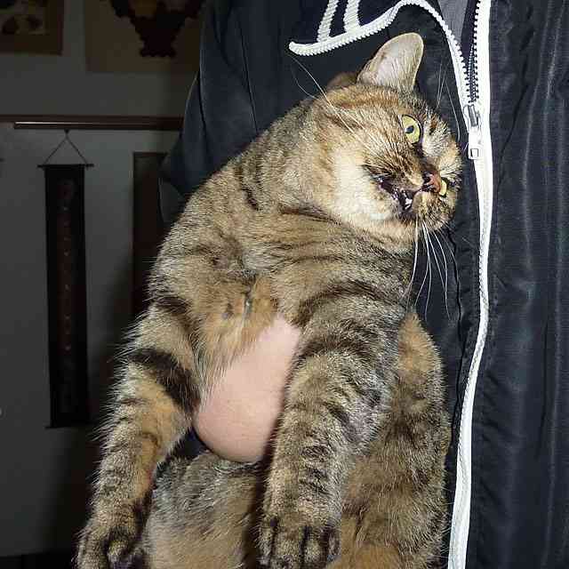 新年早々こんなことしてます…