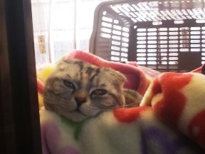 ふいに幸せを感じる瞬間