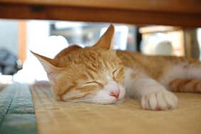 ふいに幸せを感じる瞬間