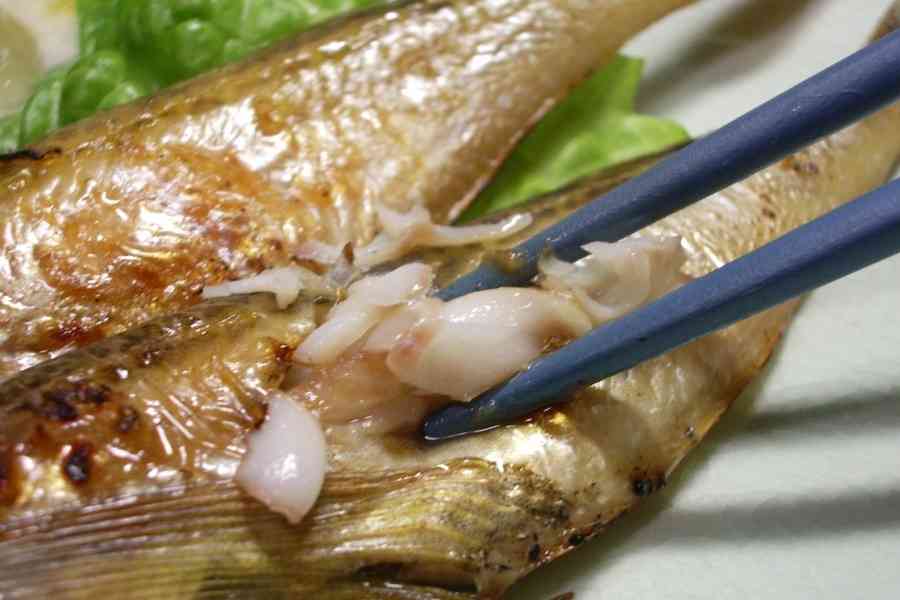 一番好きなお魚は何ですか？