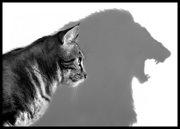 「自己啓発本を何冊も渡された」広瀬香美、