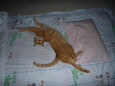 ワガママだよなぁ~と思う時