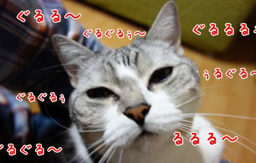 ワガママだよなぁ~と思う時