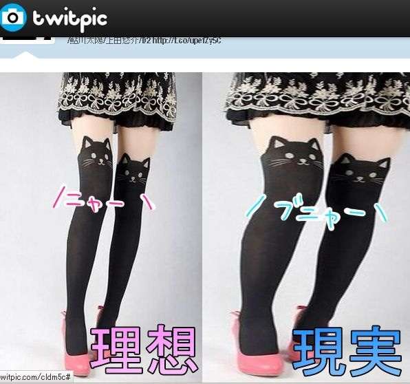 何でこうなるの…「理想と現実」の違いが伝わってくる写真