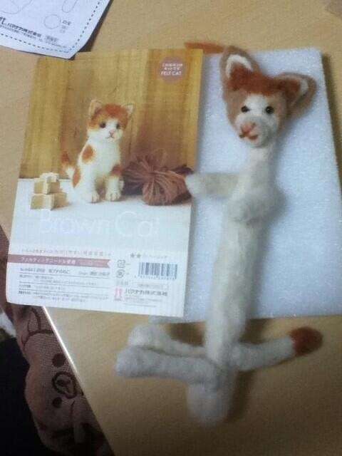 何でこうなるの…「理想と現実」の違いが伝わってくる写真