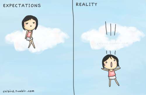 何でこうなるの…「理想と現実」の違いが伝わってくる写真