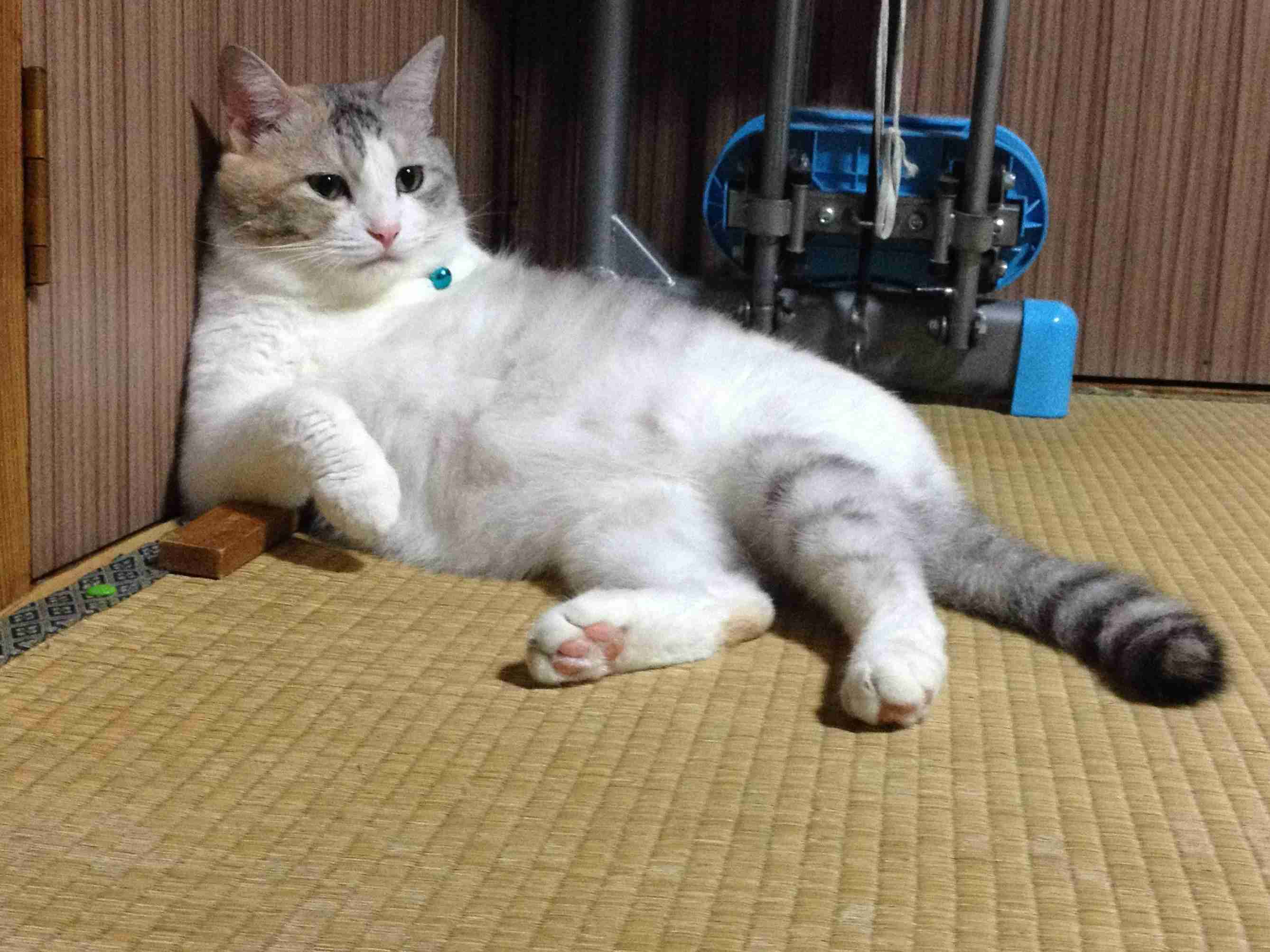 やる気が全然出ない人～？