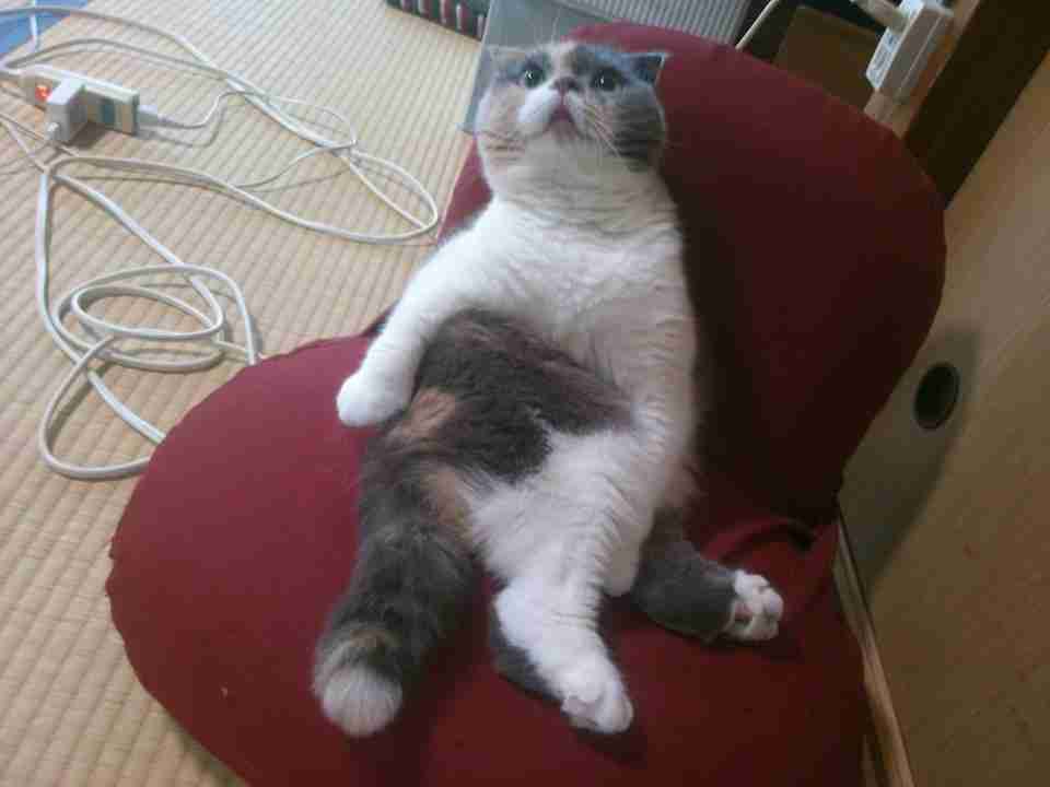 やる気が全然出ない人～？