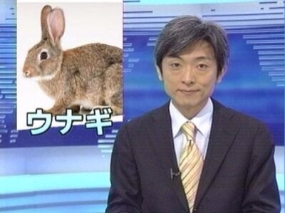 明るい気持ちになれる画像ください。