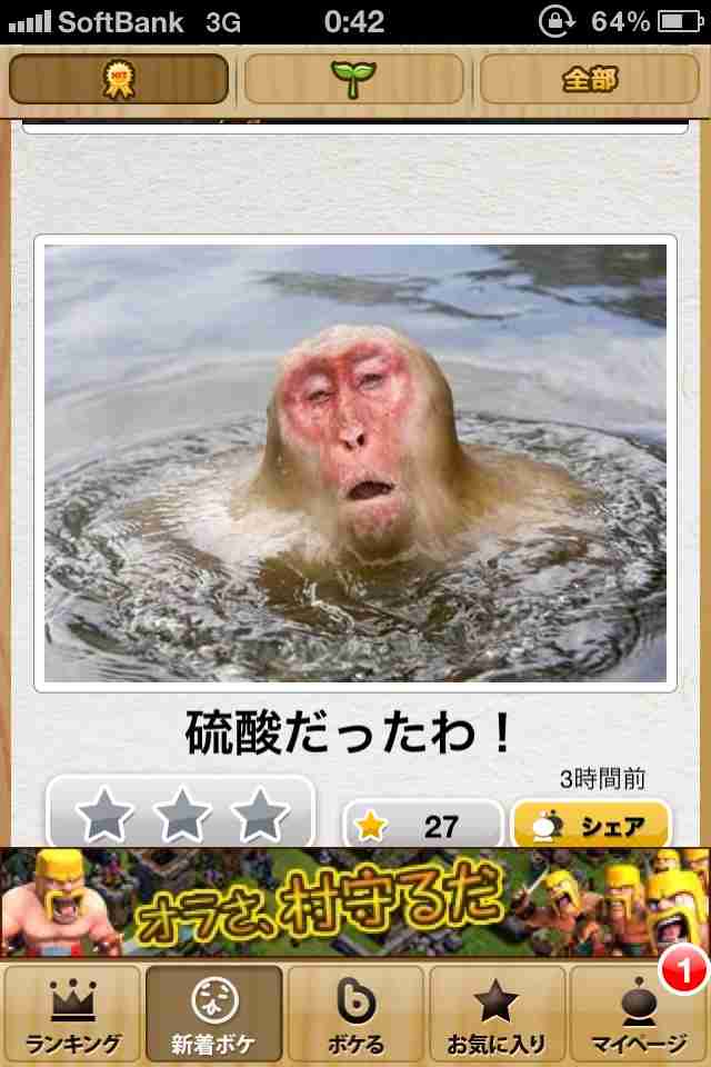 明るい気持ちになれる画像ください。