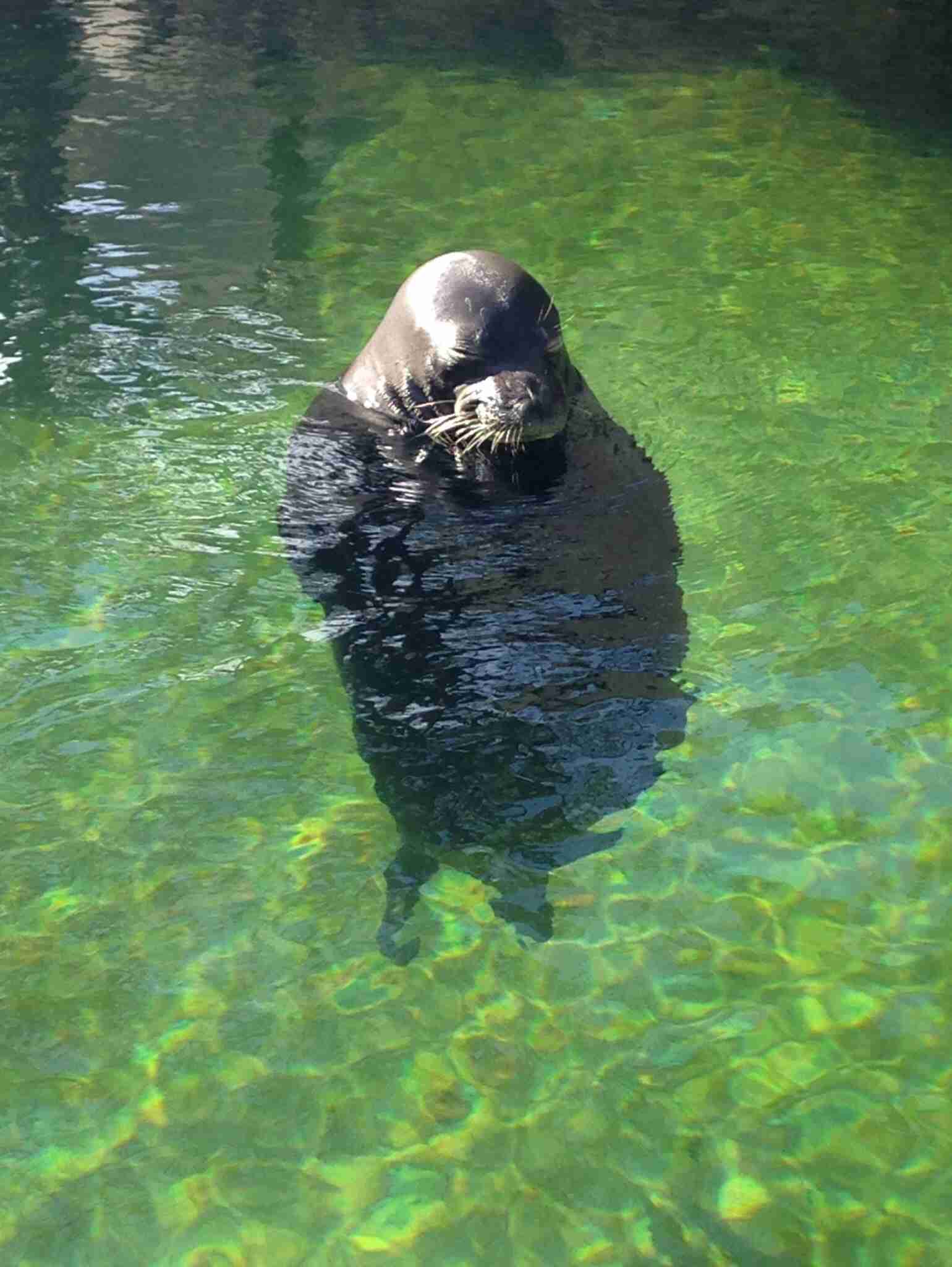 明るい気持ちになれる画像ください。
