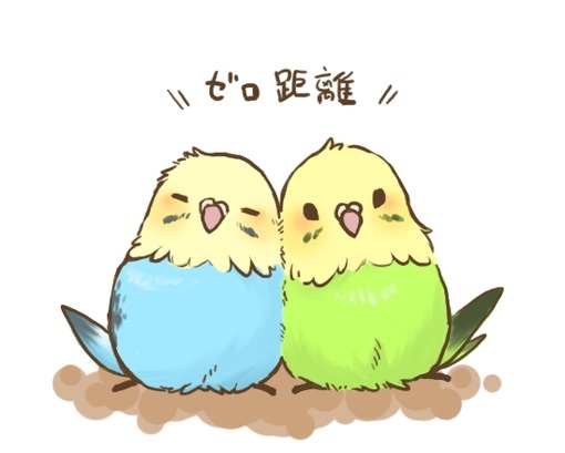 明るい気持ちになれる画像ください。