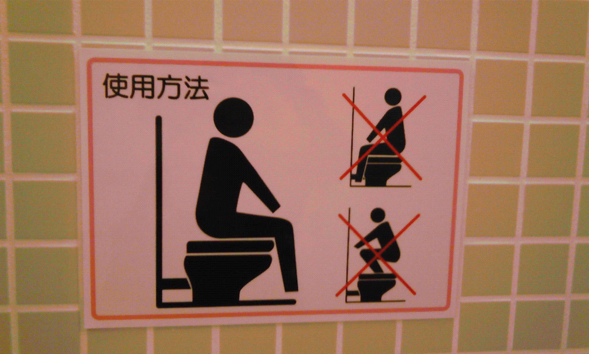 明るい気持ちになれる画像ください。