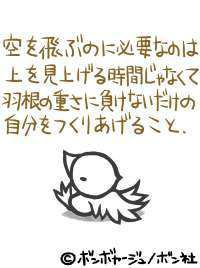 明るい気持ちになれる画像ください。