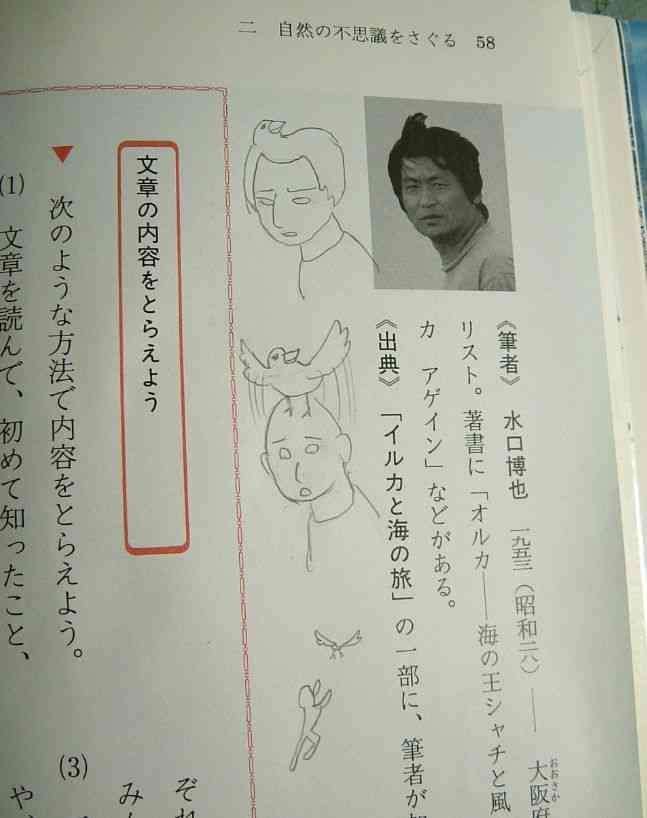 明るい気持ちになれる画像ください。